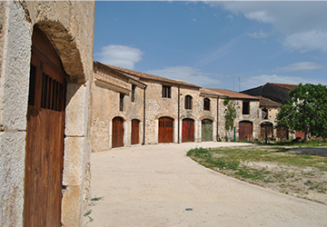 Amphitheatre